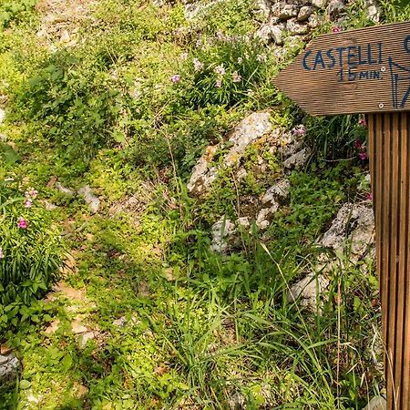 Castelli Olive Press Guest House Ахарави Екстериор снимка