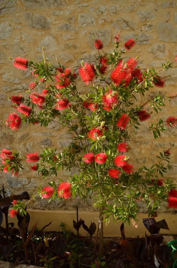 Castelli Olive Press Guest House Ахарави Екстериор снимка
